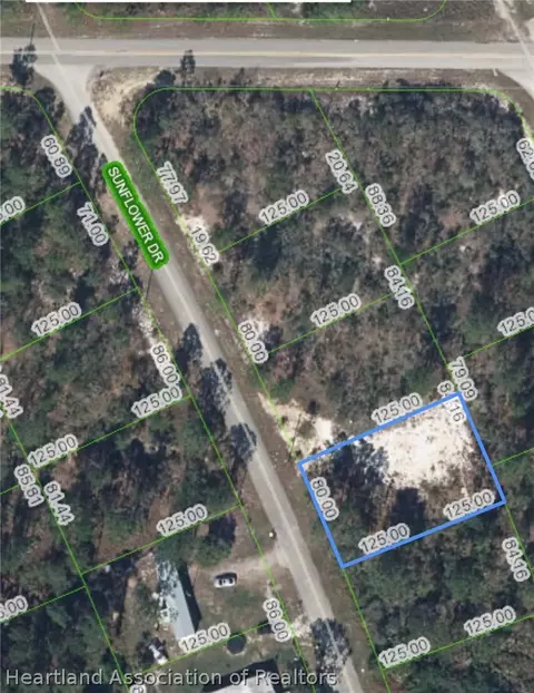 125 Sunflower Dr, Lake Placid, FL 33852