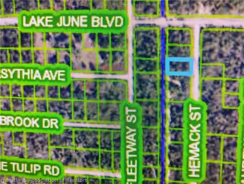 959 Hemack St, Lake Placid, FL 33852