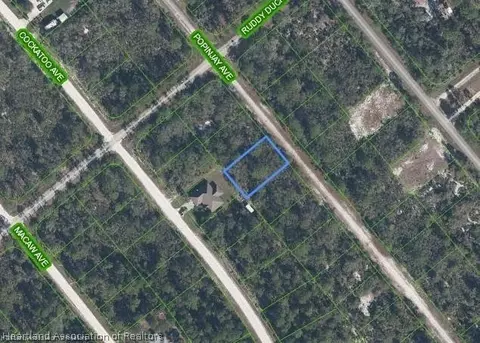 1218 Popinjay Ave, Lake Placid, FL 33852