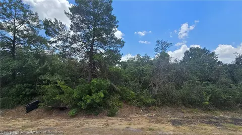415 Ecstasy Ave, Lake Placid, FL 33852