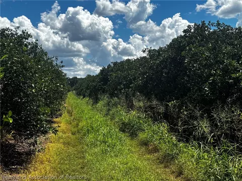 Rhynn Road, Wauchula, FL 33873