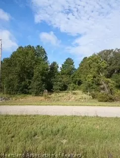 2867 N Nepera Rd, Avon Park, FL 33825
