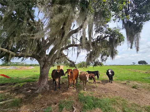 1013 Cattle Ranch Rd, Venus, FL 33960