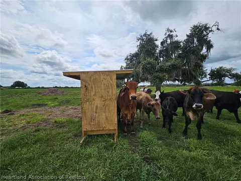 1013 Cattle Ranch Rd, Venus, FL 33960 photo 6