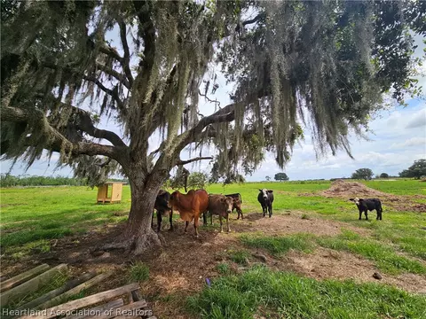 1013 Cattle Ranch Rd, Venus, FL 33960 photo 4