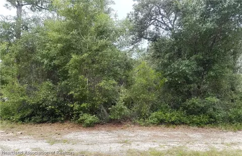 359 Coolidge Ave NE, Lake Placid, FL 33852