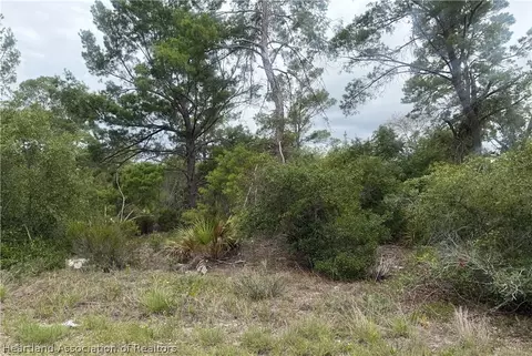 105 Hoover Ave NE, Lake Placid, FL 33852