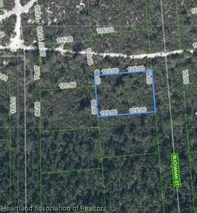 648 Buchanan St, Lake Placid, FL 33852