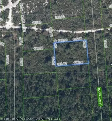 648 Buchanan St, Lake Placid, FL 33852
