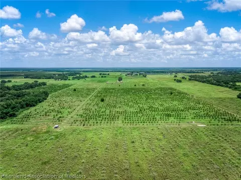 Stephens Road, Wauchula, FL 33873 photo 6