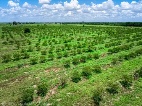Stephens Road, Wauchula, FL 33873 photo 4