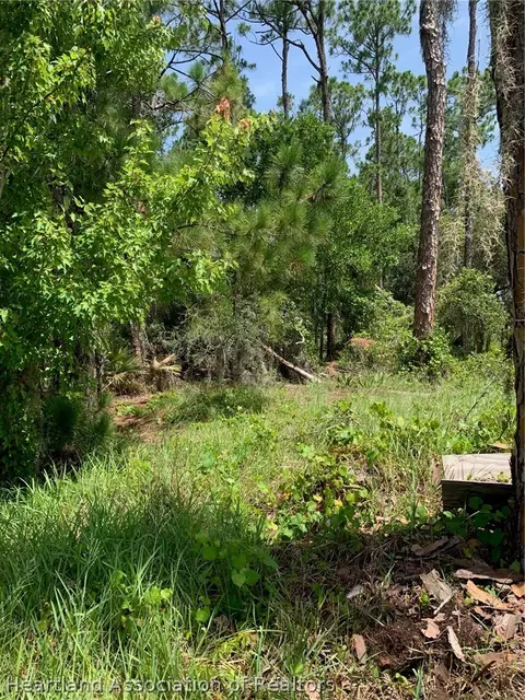 1709 Stream Ave, Sebring, FL 33875 photo 2