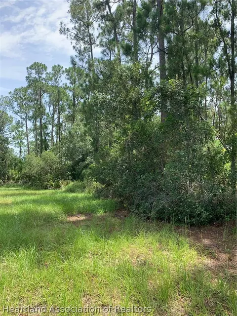 1709 Stream Ave, Sebring, FL 33875 photo 8