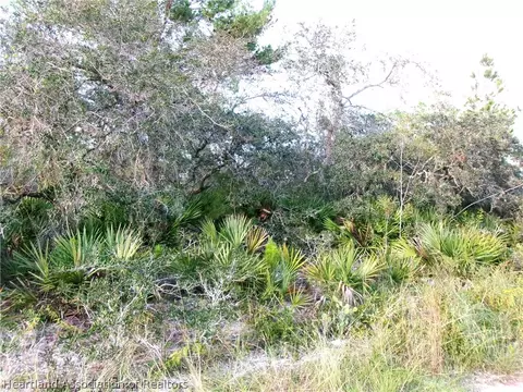 235 Brant Ave, Sebring, FL 33870 photo 6