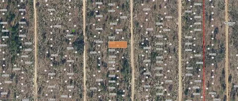 Dothan Street, Interlachen, FL 32148 photo 4