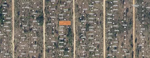 Dothan Street, Interlachen, FL 32148 photo 4
