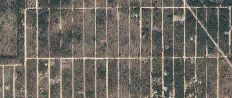 Dothan Street, Interlachen, FL 32148 photo 3