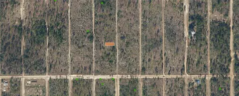 Dothan Street, Interlachen, FL 32148 photo 2