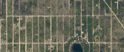 Dothan Street, Interlachen, FL 32148 photo 3