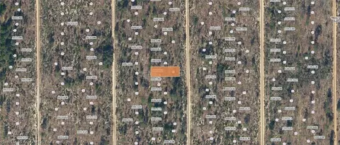 Dothan Street, Interlachen, FL 32148 photo 4