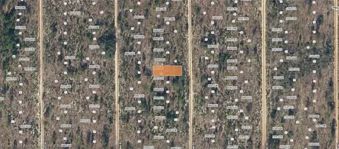 Dothan Street, Interlachen, FL 32148 photo 4