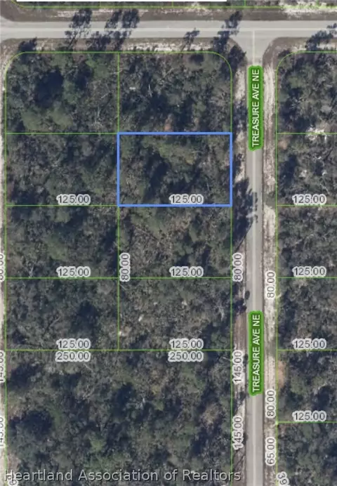 215 217 Treasure Ave NE, Lake Placid, FL 33852