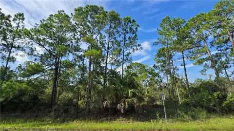333 Moon Glow Ave, Lake Placid, FL 33852