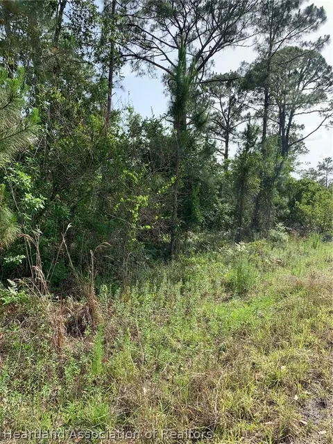 10828 Bending Oak Dr, Sebring, FL 33875 photo 2