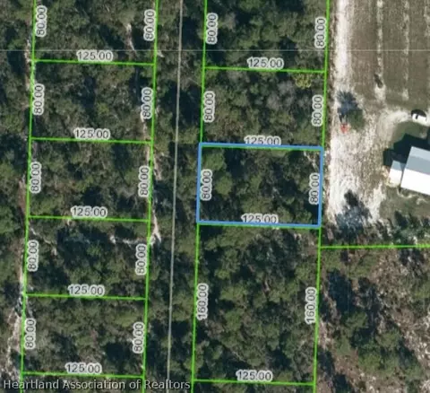 10828 Bending Oak Dr, Sebring, FL 33875 photo 3
