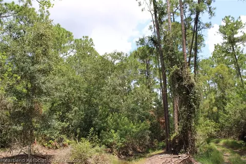 1217 Iris Ave, Sebring, FL 33875 photo 3