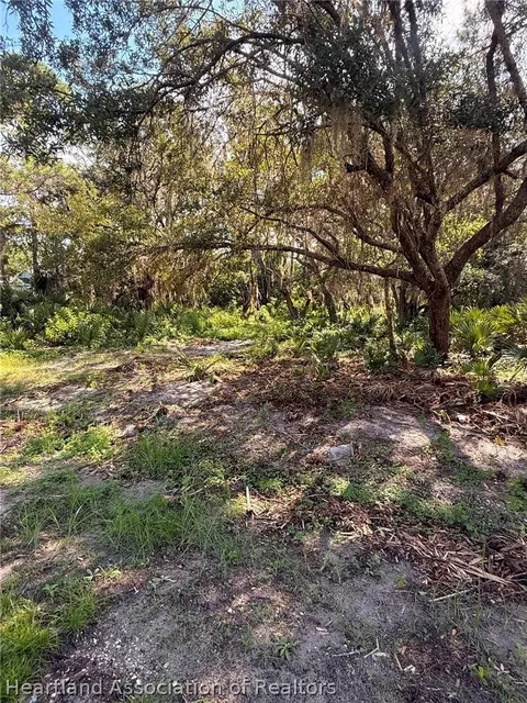 5914 Cherry Rd, Sebring, FL 33875 photo 5