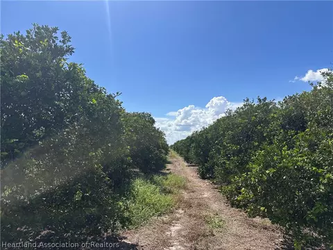 1055 Arbuckle Creek Rd, Lorida, FL 33857 photo 2