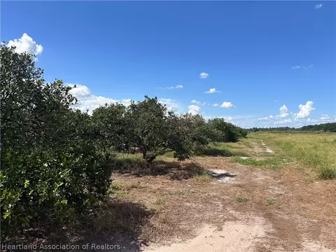 1055 Arbuckle Creek Rd, Lorida, FL 33857 photo 4