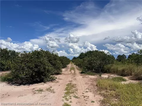 955 Arbuckle Creek Rd, Lorida, FL 33857 photo 5