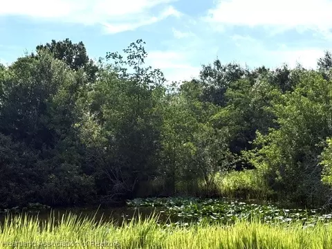 2524 Gem Stone Ave, Lorida, FL 33857 photo 4