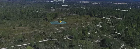1136 Rustic Ct, Sebring, FL 33852 photo 3