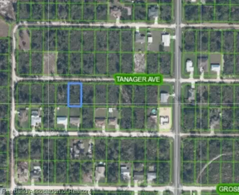 336 Tanager Ave, Sebring, FL 33870 photo 2