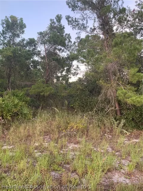 245 Loquat Rd NW, Lake Placid, FL 33852