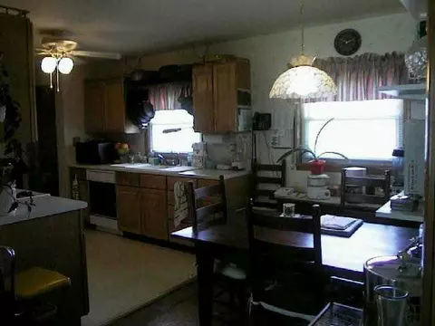 307 Sunny St, Mount Carroll, IL 61053 photo 4