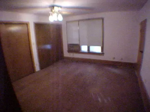 407 S Main, Leaf River, IL 61047 photo 5