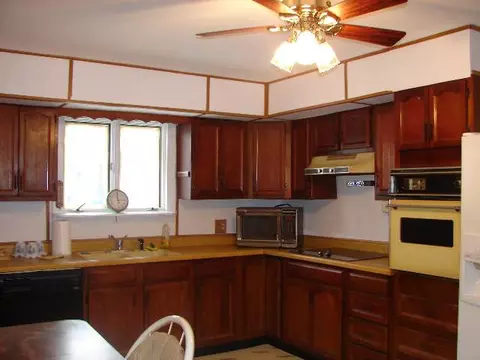 12036 N Leaf River Rd, Leaf River, IL 61047 photo 5