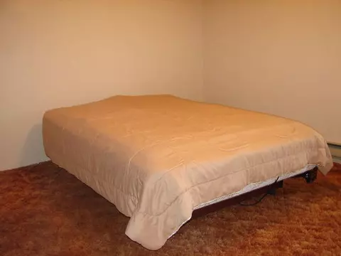 12036 N Leaf River Rd, Leaf River, IL 61047 photo 7