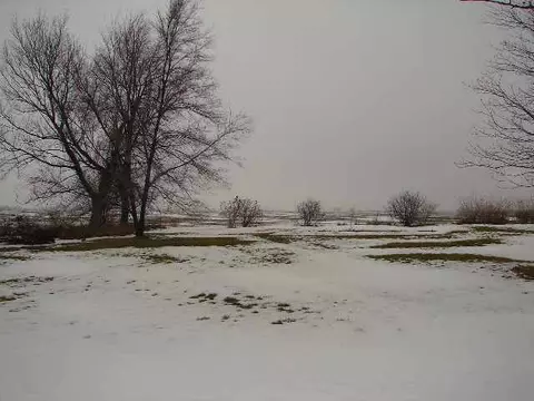 12036 N Leaf River Rd, Leaf River, IL 61047 photo 3