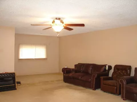 12036 N Leaf River Rd, Leaf River, IL 61047 photo 8