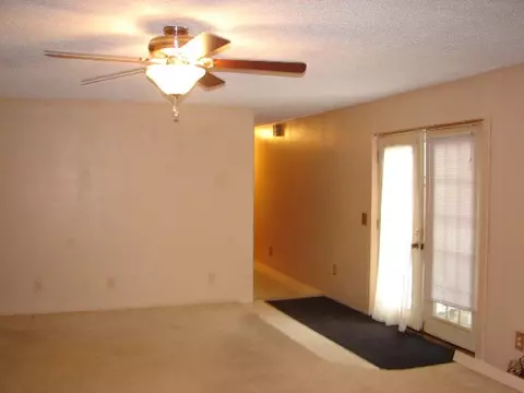 12036 N Leaf River Rd, Leaf River, IL 61047 photo 9