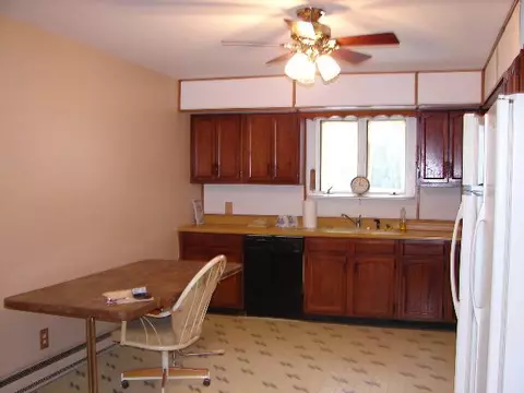 12036 N Leaf River Rd, Leaf River, IL 61047 photo 4