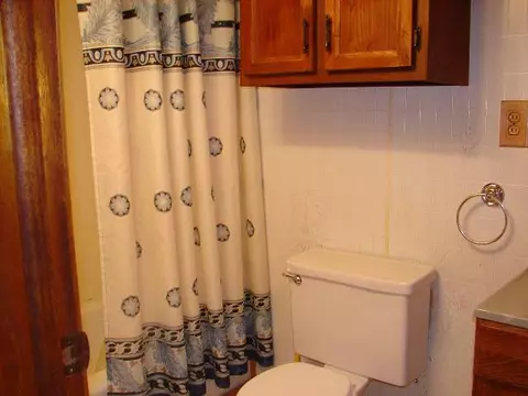 12036 N Leaf River Rd, Leaf River, IL 61047 photo 6