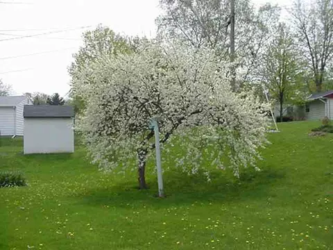 1431 Mark Dr, Freeport, IL 61032 photo 7