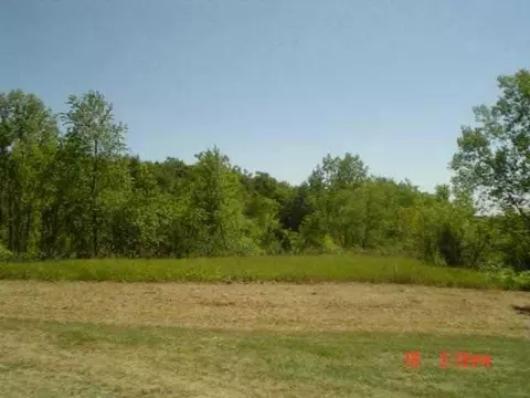 4213 E Fawver Rd, Ridott, IL 61067 photo 3
