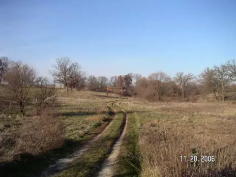 10174 Brick School Rd E, Davis, IL 61019 photo 6